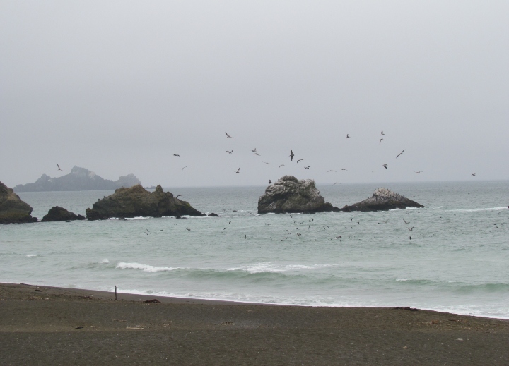 Pacific Coast